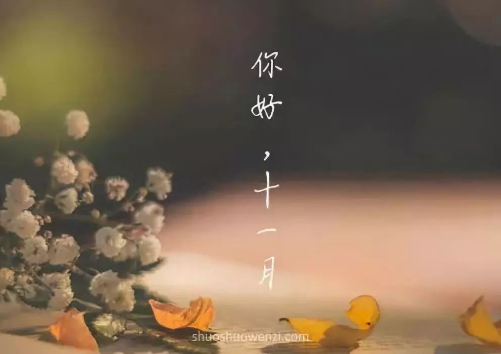 你好，十一月经典行情，十一月早安