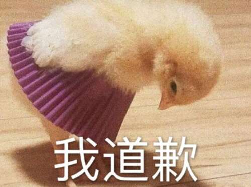寻求和平，热闹交谈，幽默地道歉