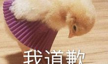 求和好的说活 幽默的道歉方式