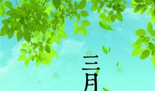 描写春天的朋友圈说说