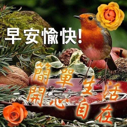 2020祝福自己