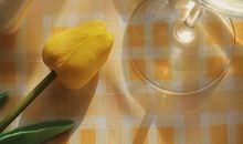 十一月你好的正能量句子