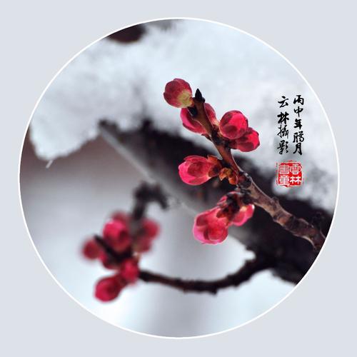平静，宁静和美好的心情