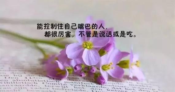 转瞬即逝的尖锐句子