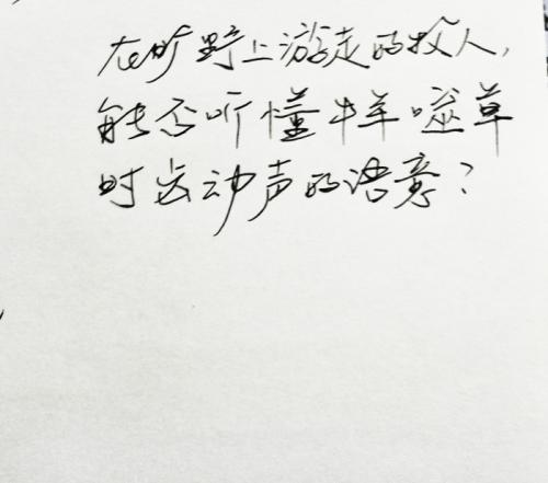 美丽的歌词