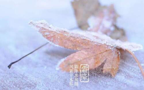 霜降祝福