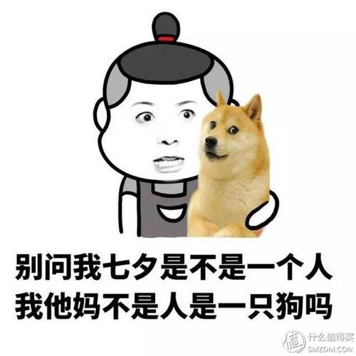 情人节单只狗搞笑笑话
