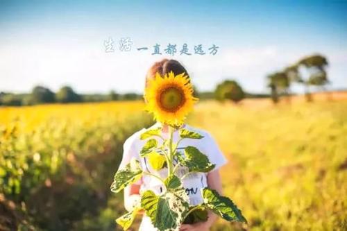 今天的想法