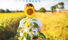 今日一思短句大全