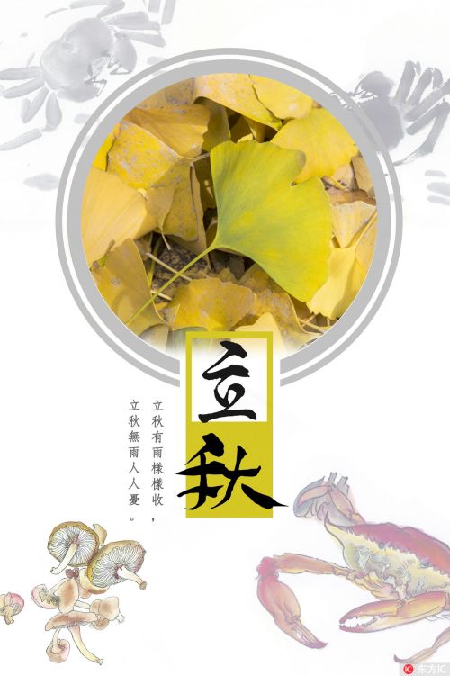 李秋的声明