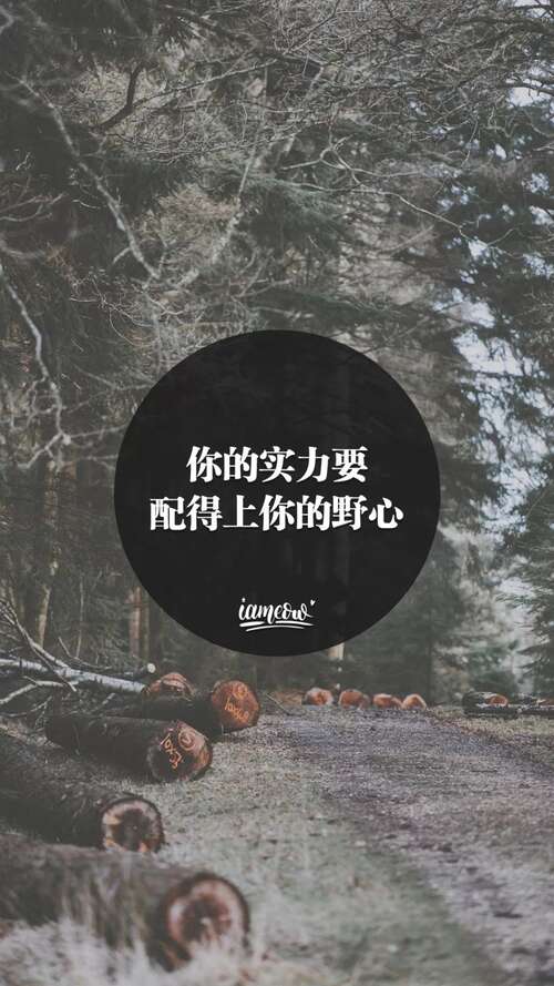 努力学习，努力奋斗的句子3