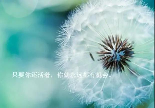 贯穿人心与现实的句子清晰，透彻，发人深省