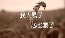 生活压抑心累了的情感短句