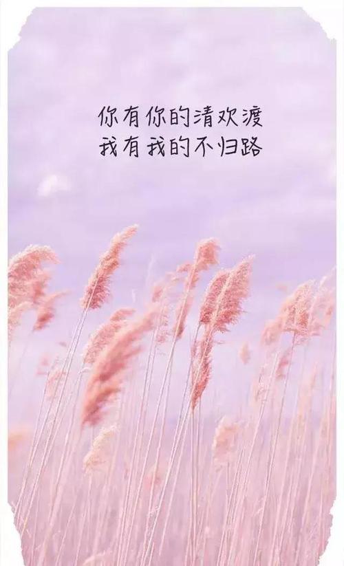 适合朋友圈子的小而新鲜的文学句子