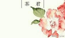 形容人很忙碌的诗句