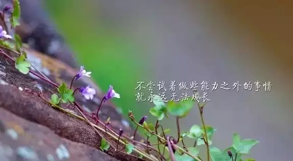 最新微博热门搜索句