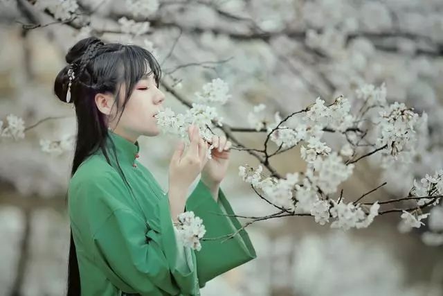温柔的句子