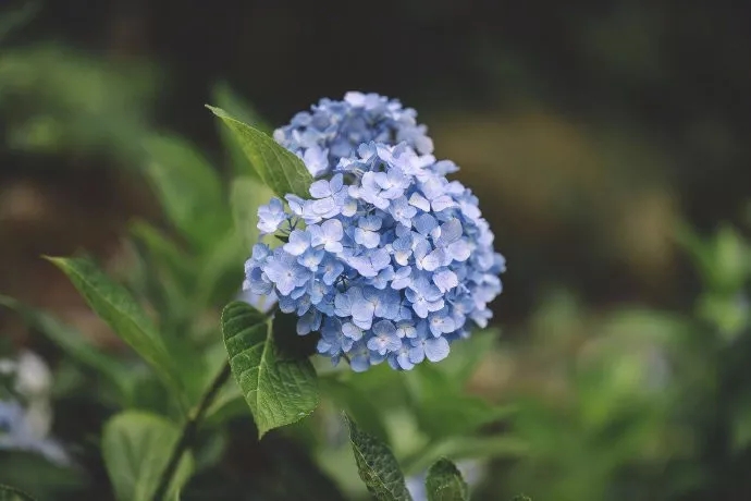名人经典句子
