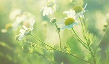 现实却有哲理的句子