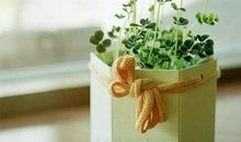 十字说说唯美句子