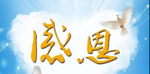 阅读佛教感激之语后，人们开始理解2