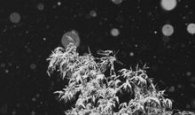 失恋后的自我安慰的句子