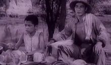 老电影的经典台词