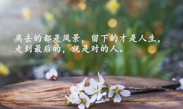 关于生活的最新感受，在朋友圈中渗透灵魂的句子