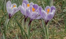 【作文写作素材】关于勤俭节约的30条名人名言