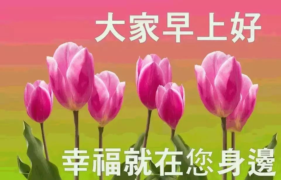 早上好，祝美丽句子1