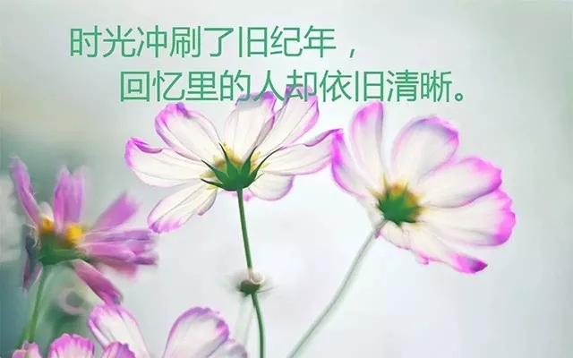 努力学习积极的座右铭