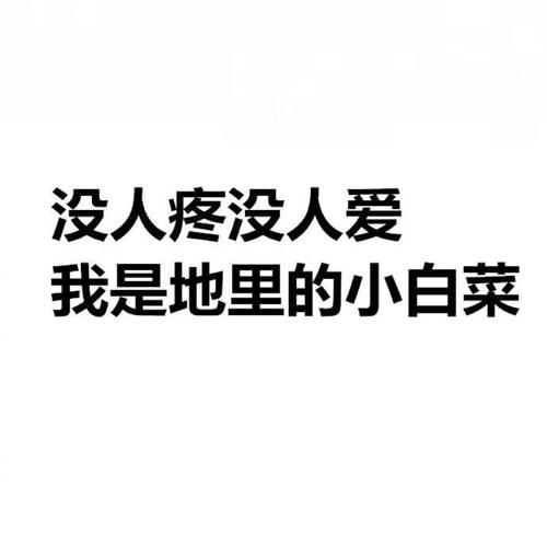 朋友圈