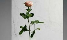 书中那些优美令人惊艳的句子摘抄 看一眼就想分享