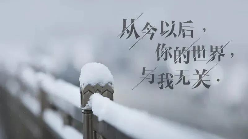 窦音2020最伤心的句子1