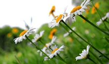 最新热搜发朋友圈的句子