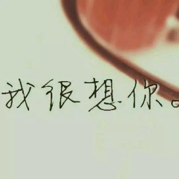没有关于爱情的一句话