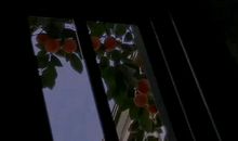 8个字的干净短句 干净气质说说