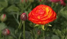 2021祝男朋友新年快乐的句子