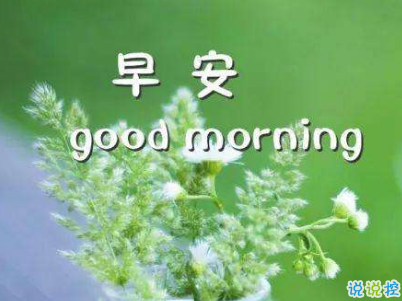 豆阴问候