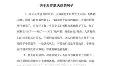 描写夏天的热句子