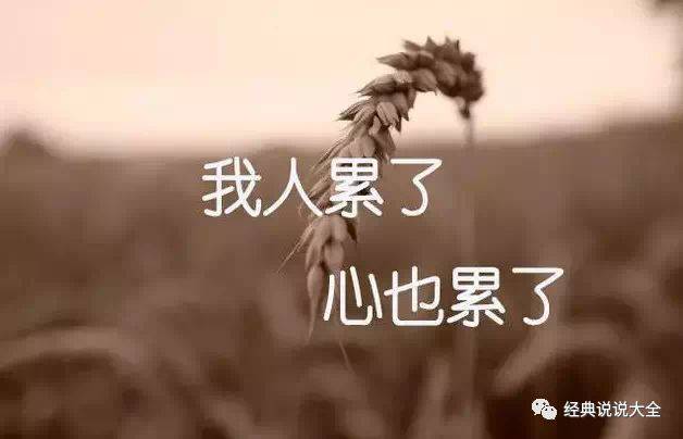 说一个悲伤和心痛的词1