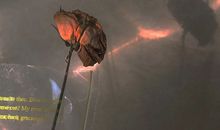 现实又很扎心的句子 句句大实话