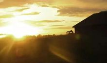 关于购买基金的句子