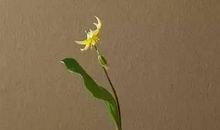 微信朋友圈哲理说说