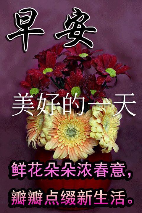 新的一天问候
