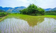 新的一天要有好心情的句子