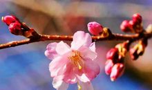 浪漫优美的句子