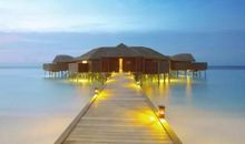 现实又非常扎心的句子