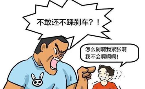 关于学习驾驶的有趣话题2