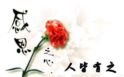 感激始于内心